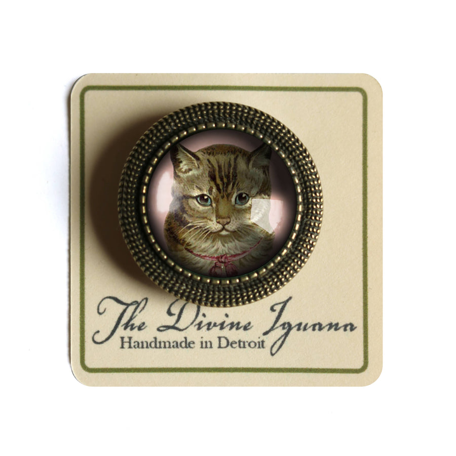 Tabby Cat Brooch