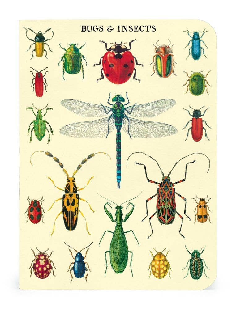 Bugs Notebook Set