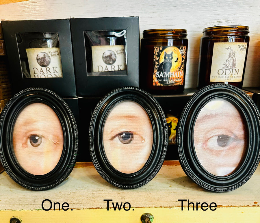 Lovers Eyes - Twitchers Emporium Store