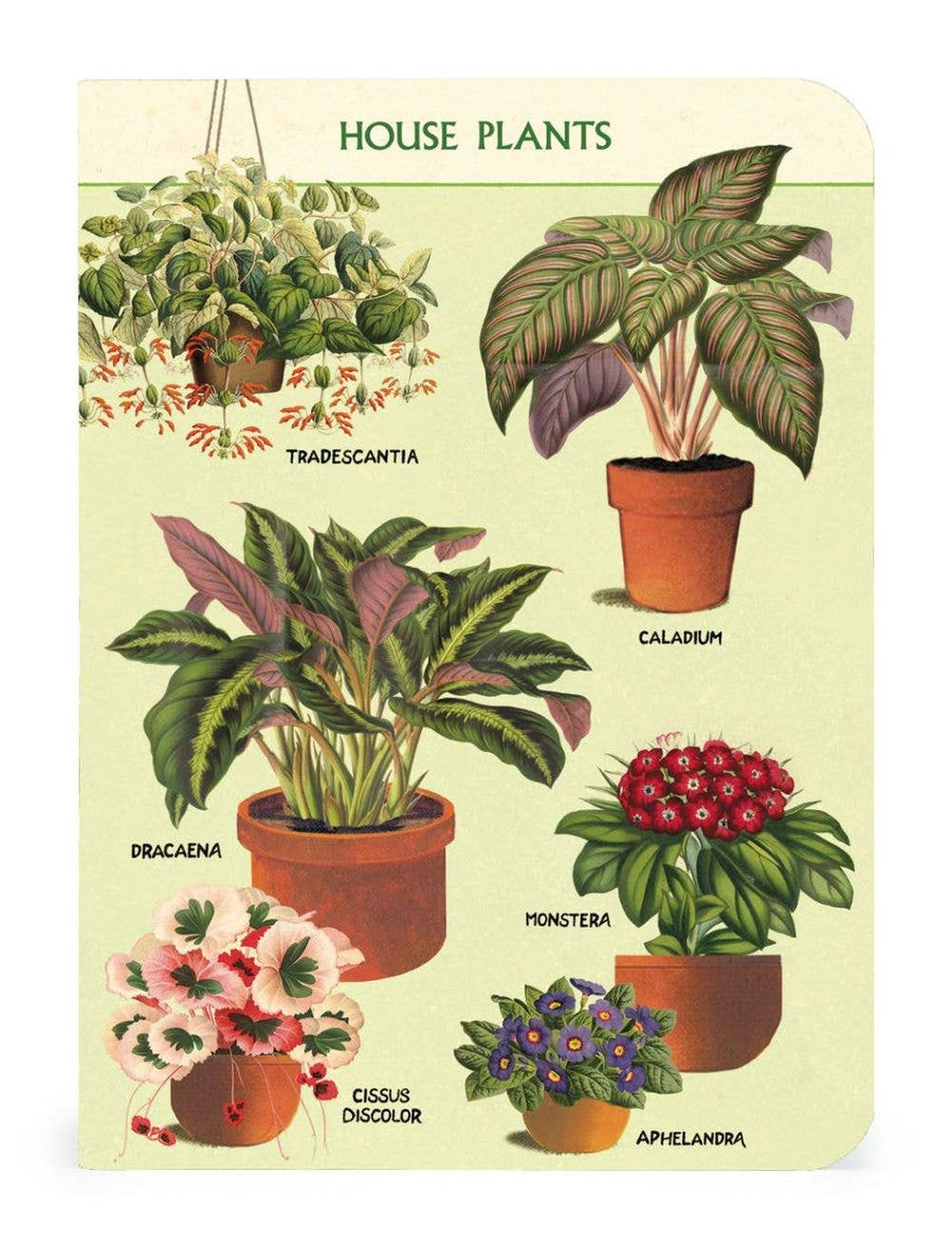 House Plants Notebook Set