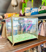 Giant Glass Jewellery Box - Twitchers Emporium Store