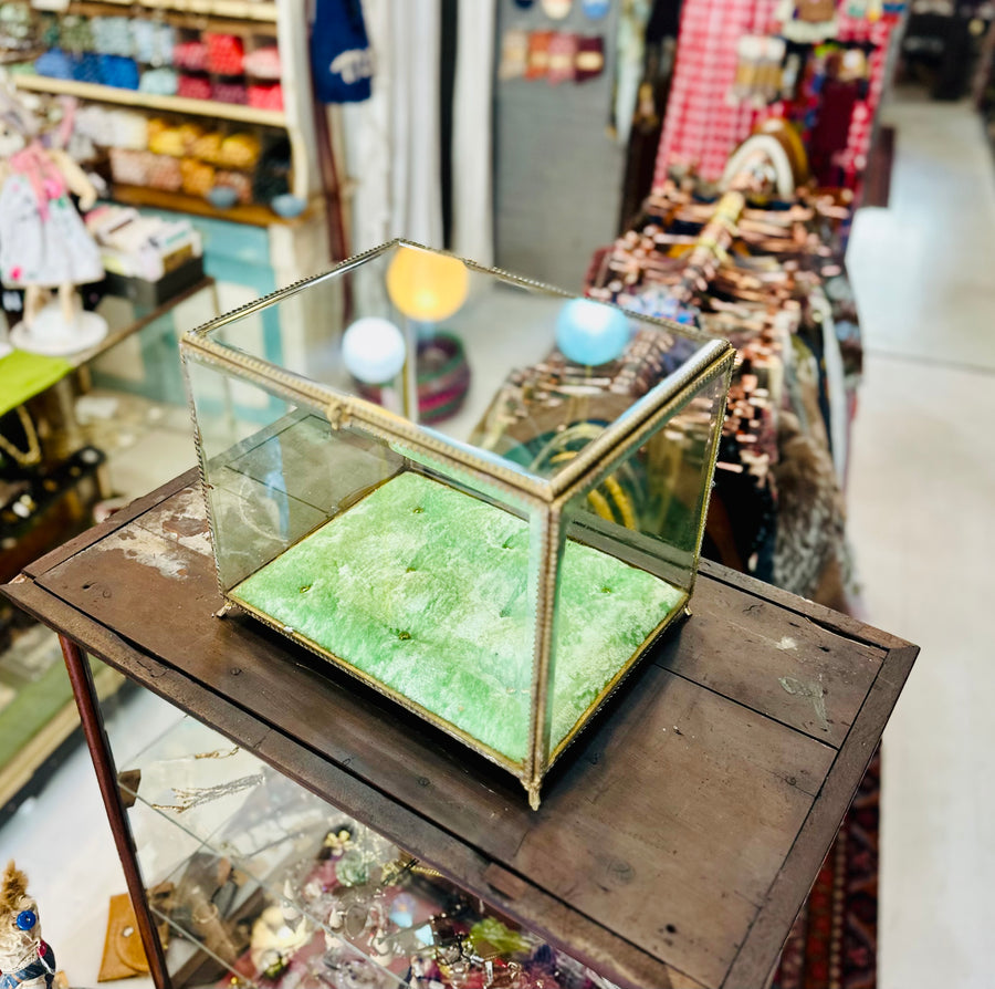 Giant Glass Jewellery Box - Twitchers Emporium Store