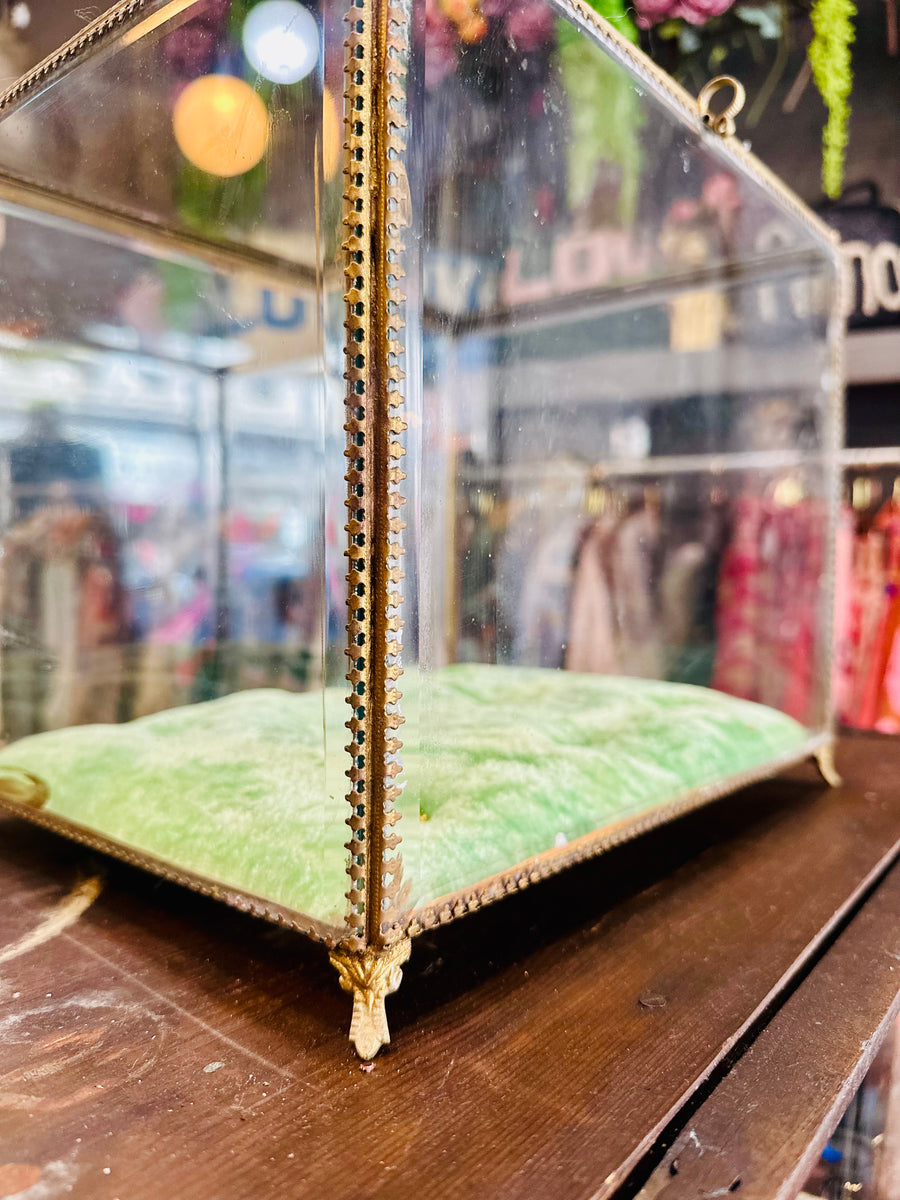 Giant Glass Jewellery Box - Twitchers Emporium Store