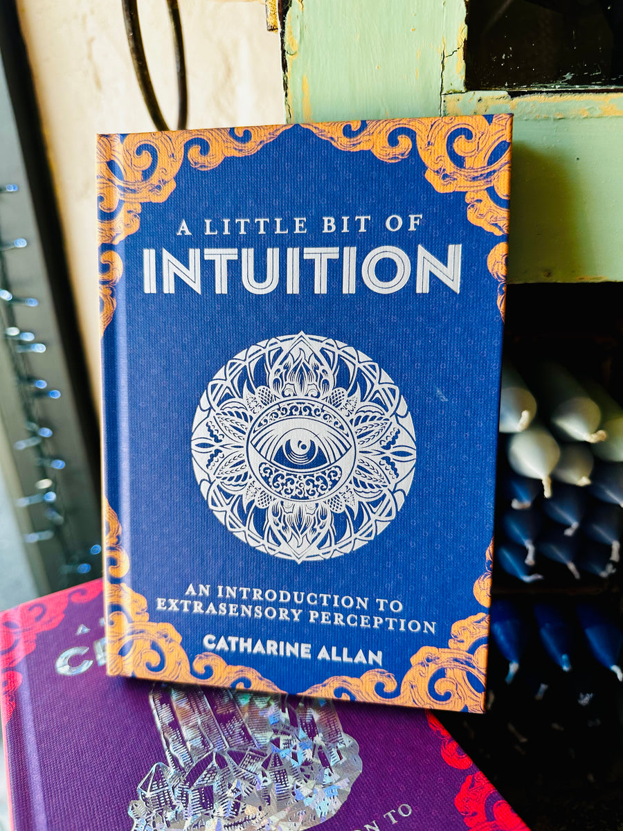 BOOK - Little Bit of Intuition