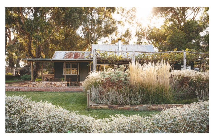 Wild By Design Tim Pilgrim - Twitchers Emporium Store