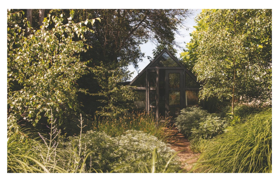 Wild By Design Tim Pilgrim - Twitchers Emporium Store