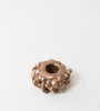 Urchin Bronze Charm - Pesci Che Volano - Twitchers Emporium Store