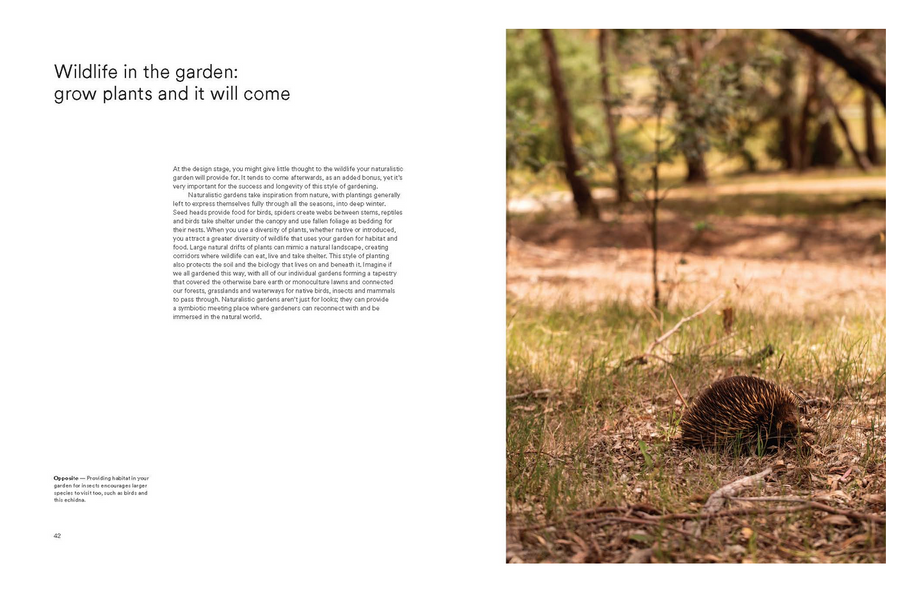 Wild By Design Tim Pilgrim - Twitchers Emporium Store