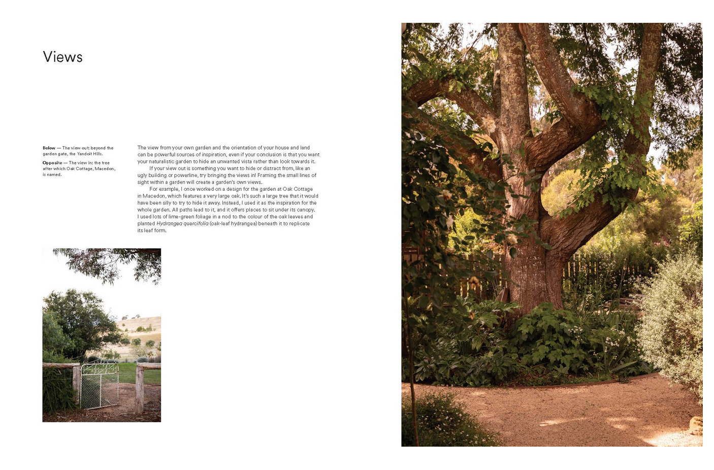 мащабиране