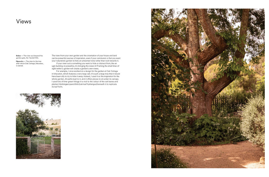 Wild By Design Tim Pilgrim - Twitchers Emporium Store