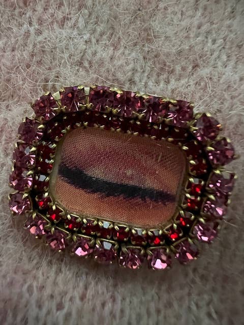 Appl of My Eye Brooch - Twitchers Emporium Store