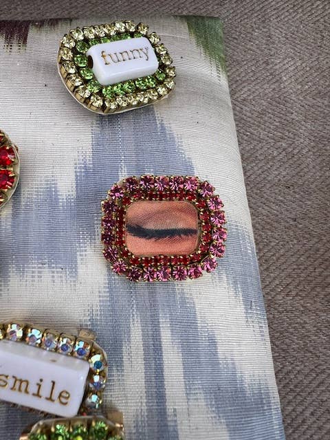 Appl of My Eye Brooch - Twitchers Emporium Store