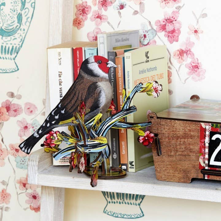 Wall and Bookcase Decoration - Red Baron