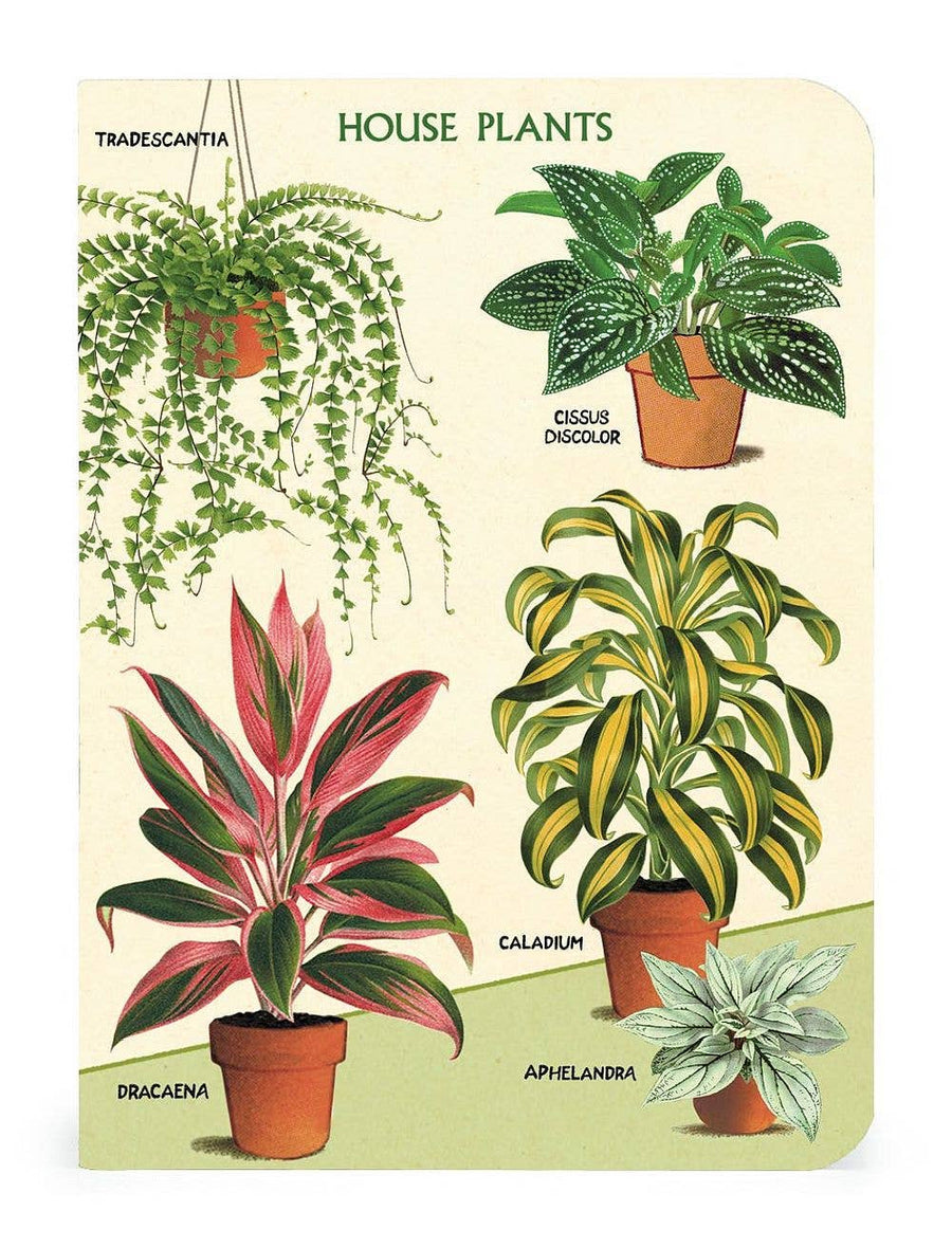 House Plants Notebook Set