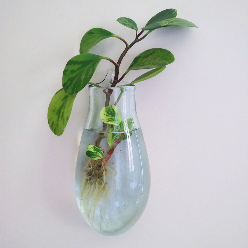 мащабиране