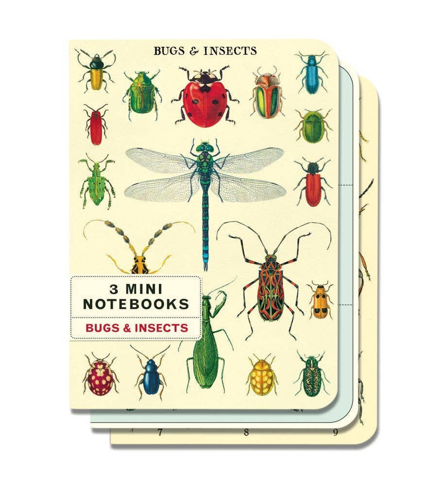 Bugs Notebook Set